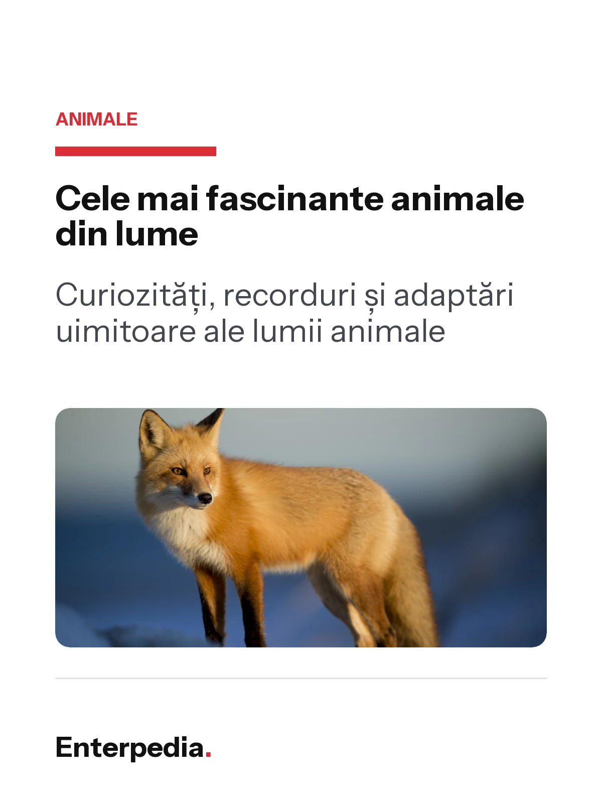 Cele mai fascinante animale din lume