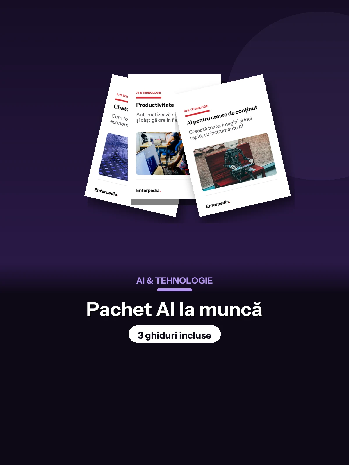 AI & Tehnologie — Pachet AI la muncă (3 ghiduri)