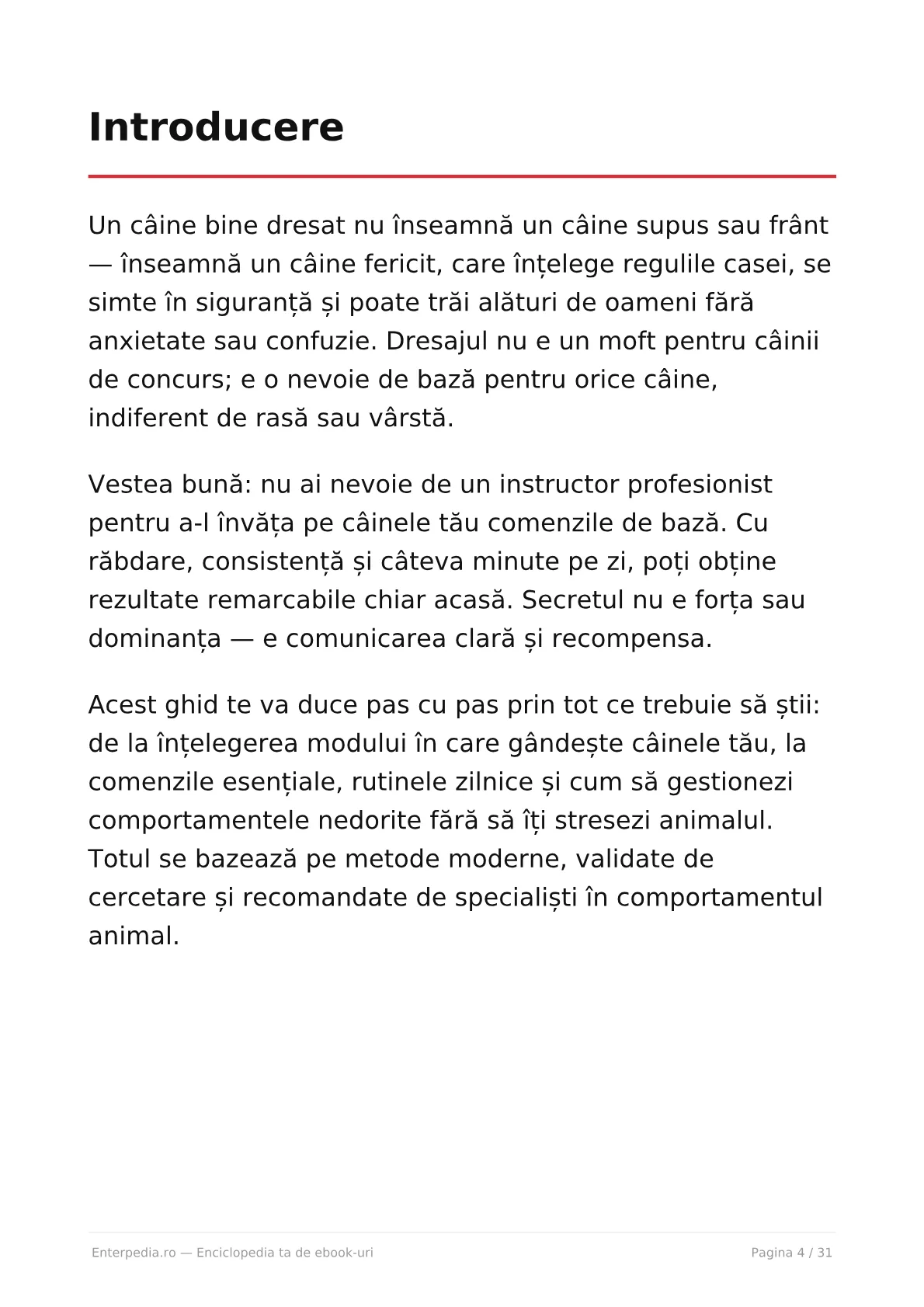 Previzualizare 3