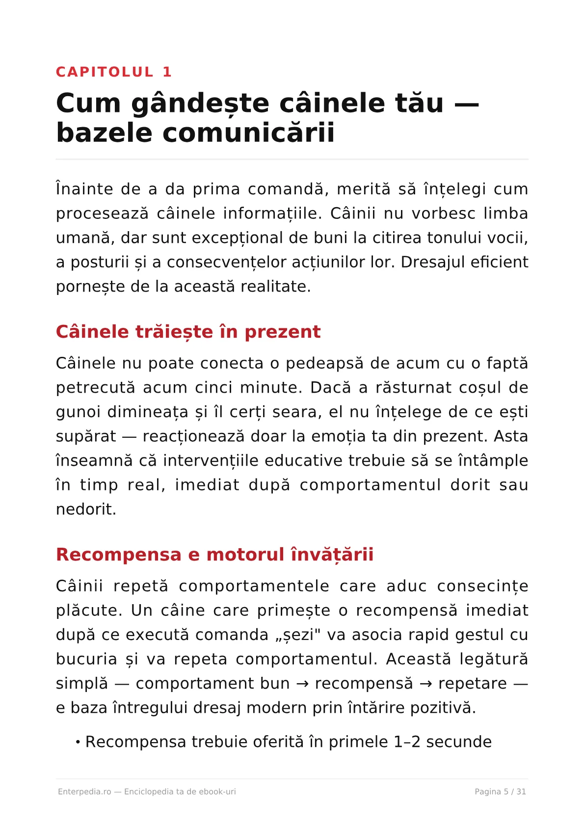 Previzualizare 4
