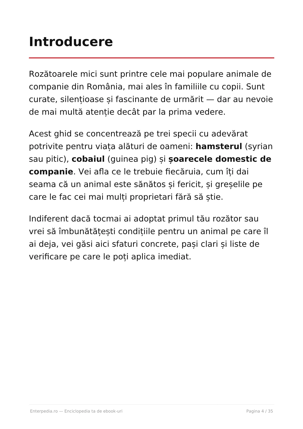 Previzualizare 3