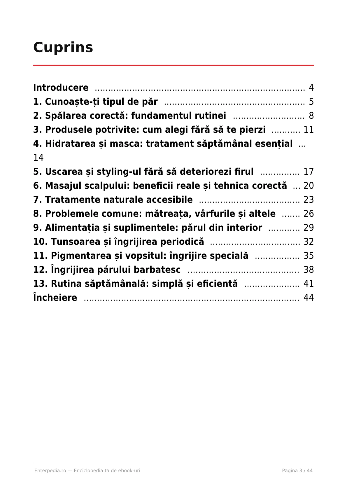 Previzualizare 2