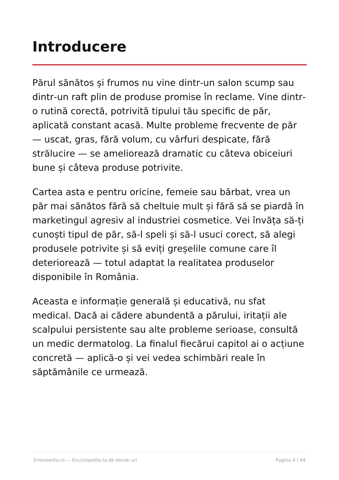 Previzualizare 3