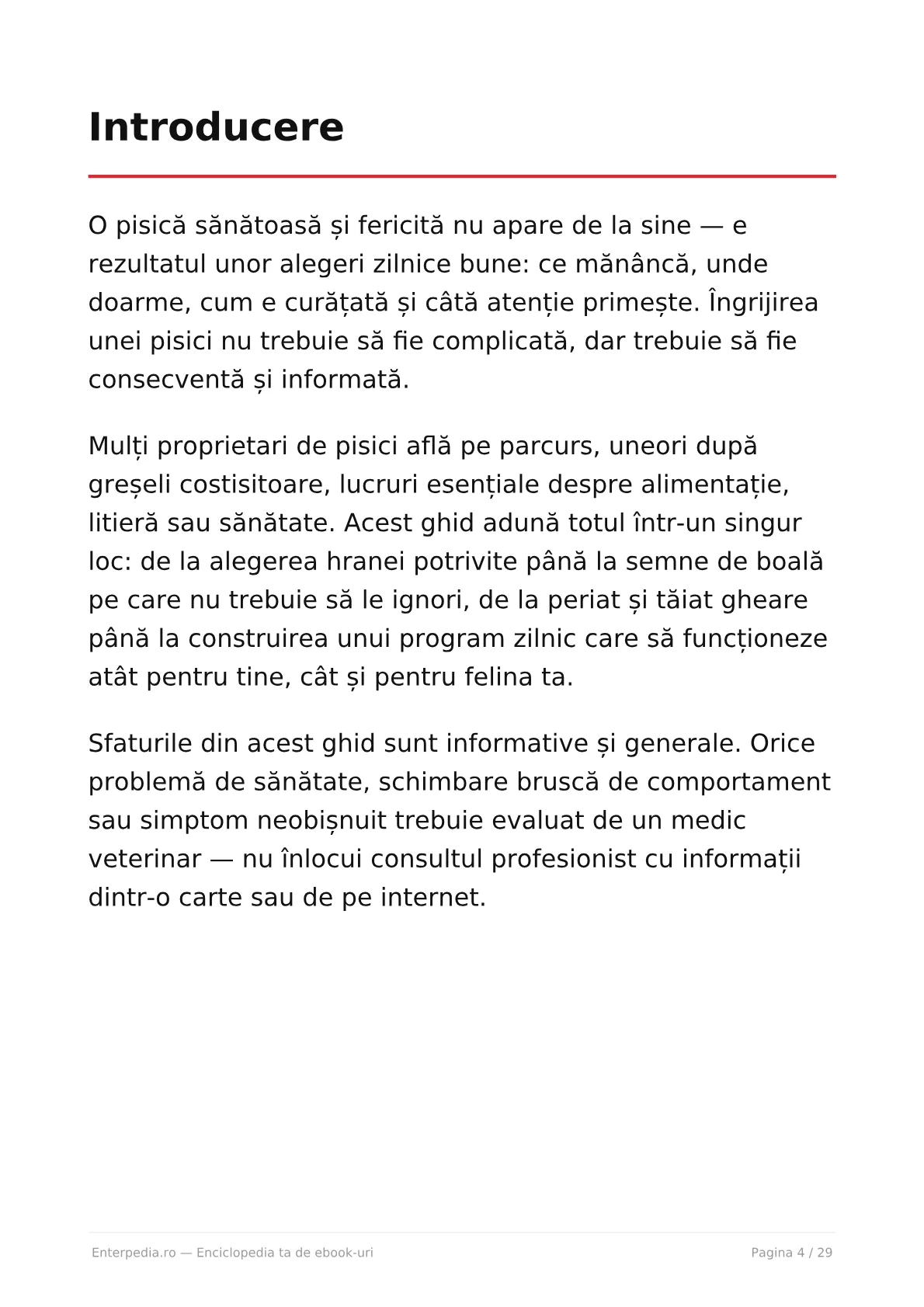 Previzualizare 3