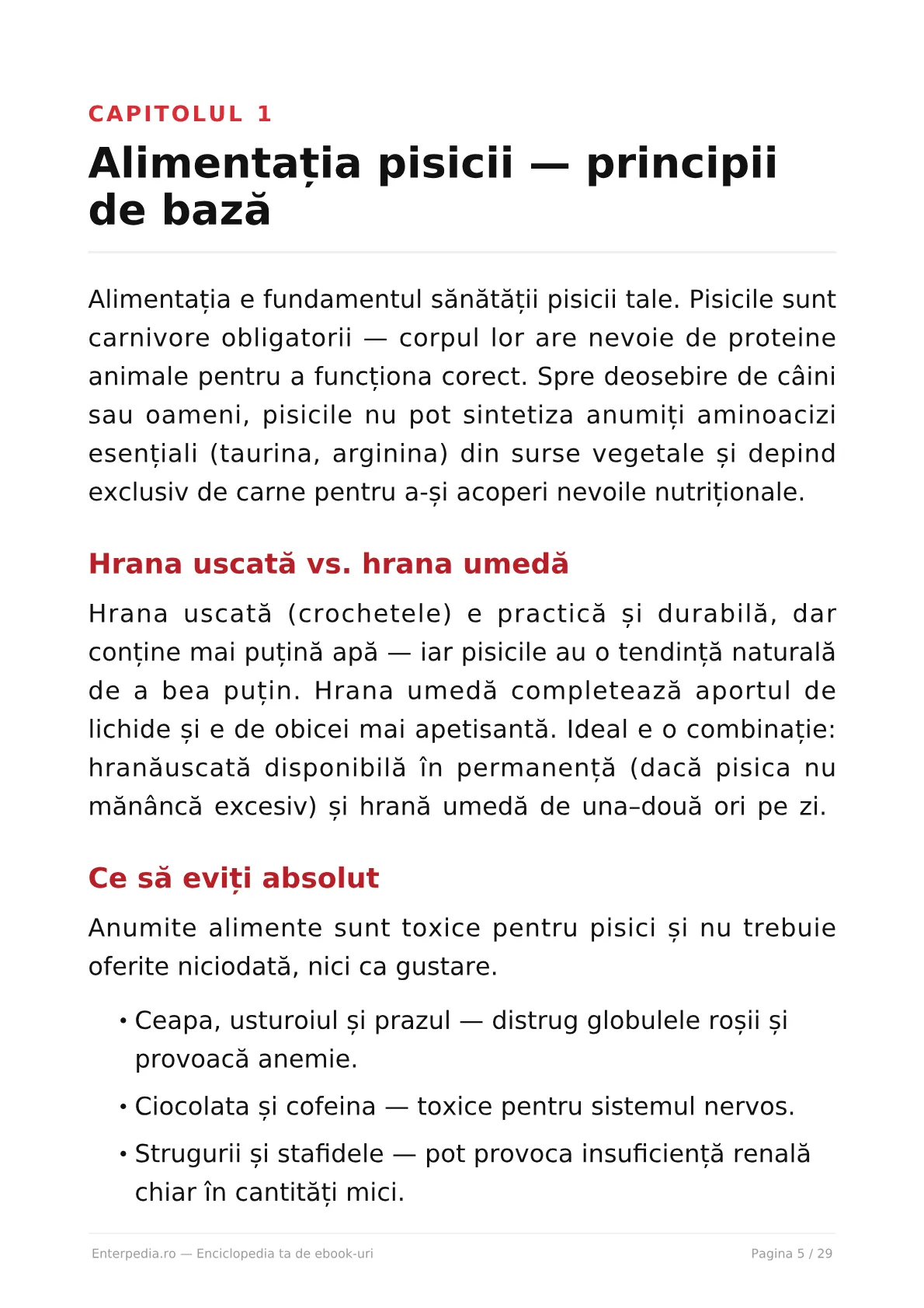 Previzualizare 4