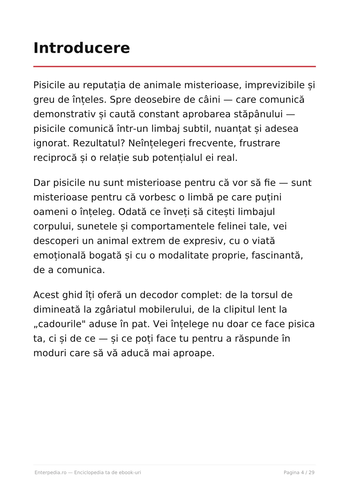 Previzualizare 3