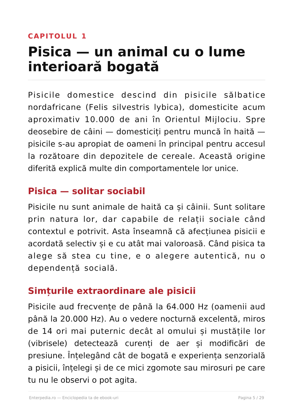 Previzualizare 4
