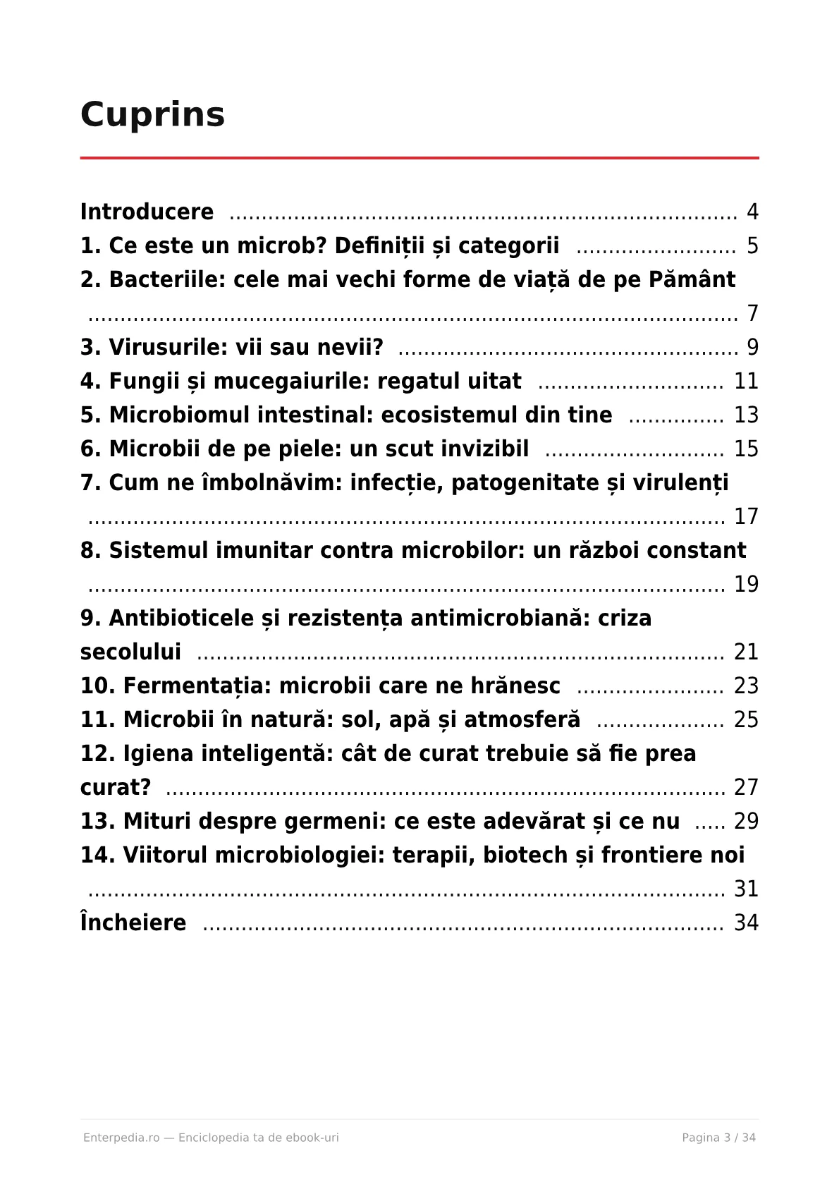 Previzualizare 2