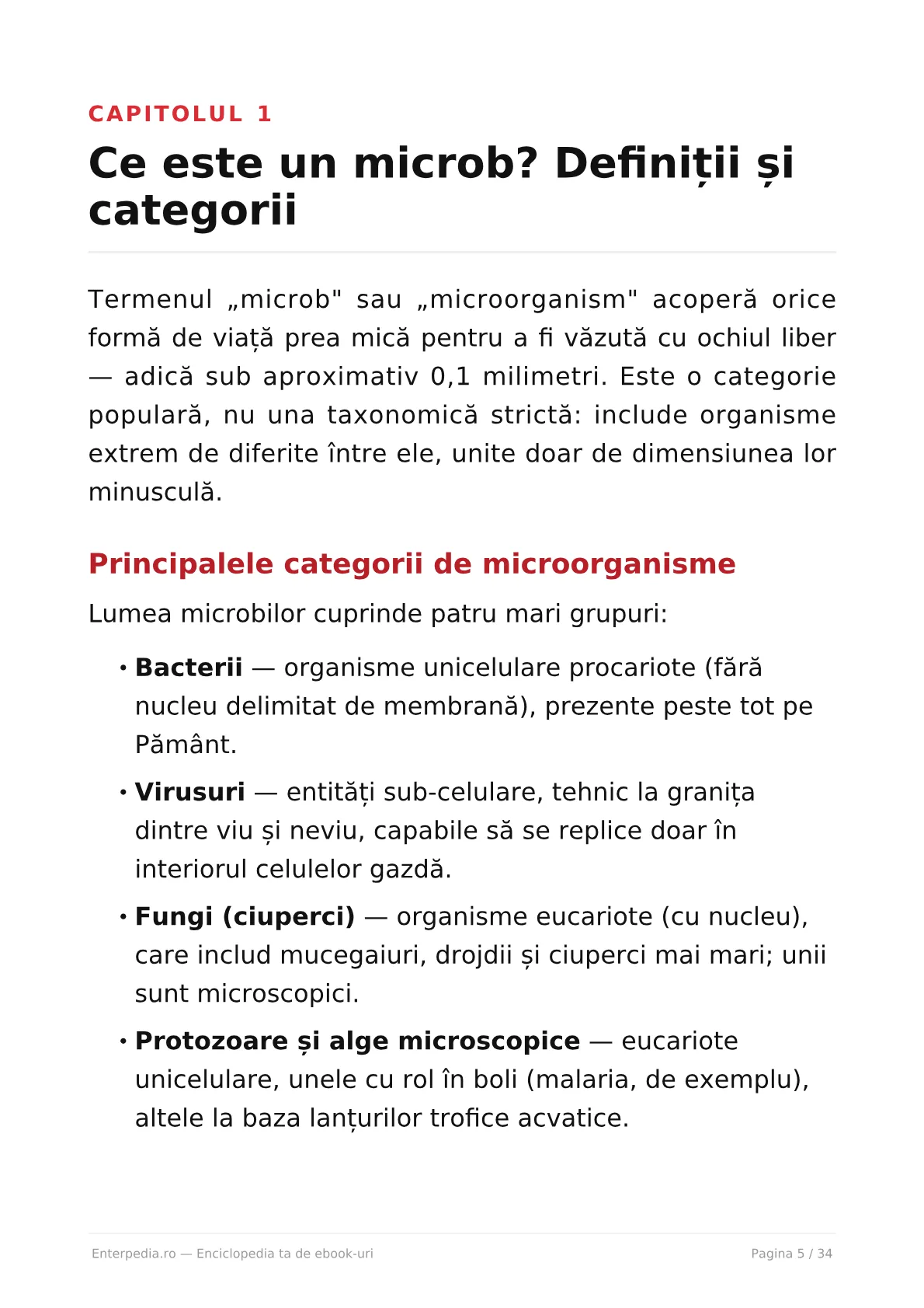 Previzualizare 4