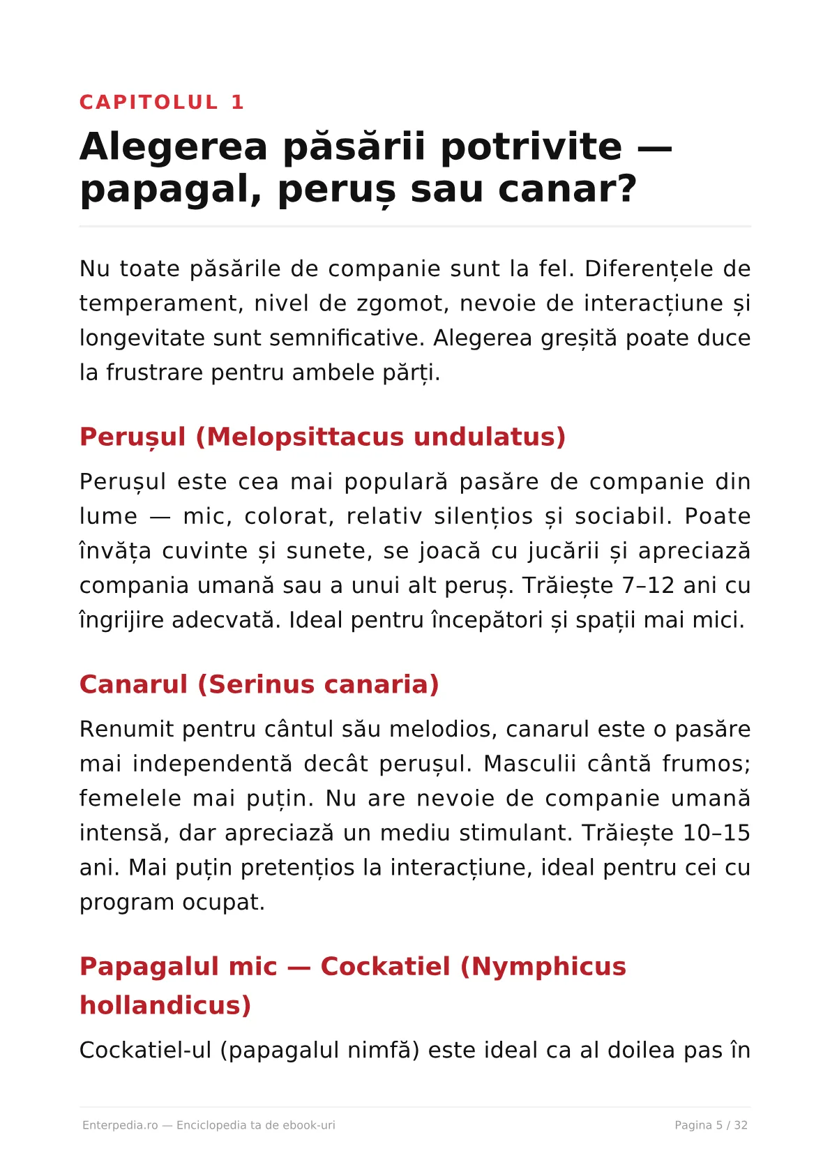 Previzualizare 4