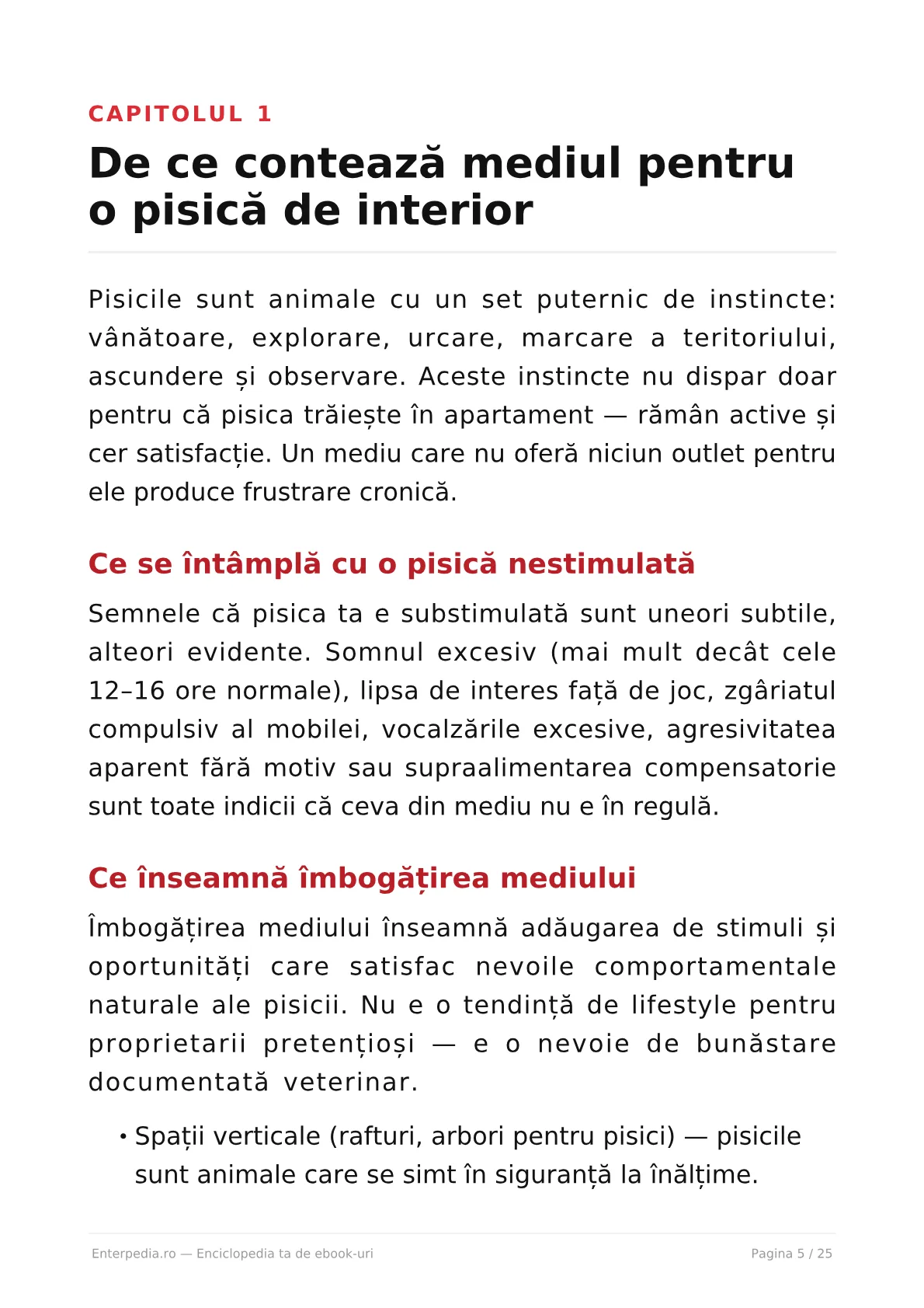Previzualizare 4