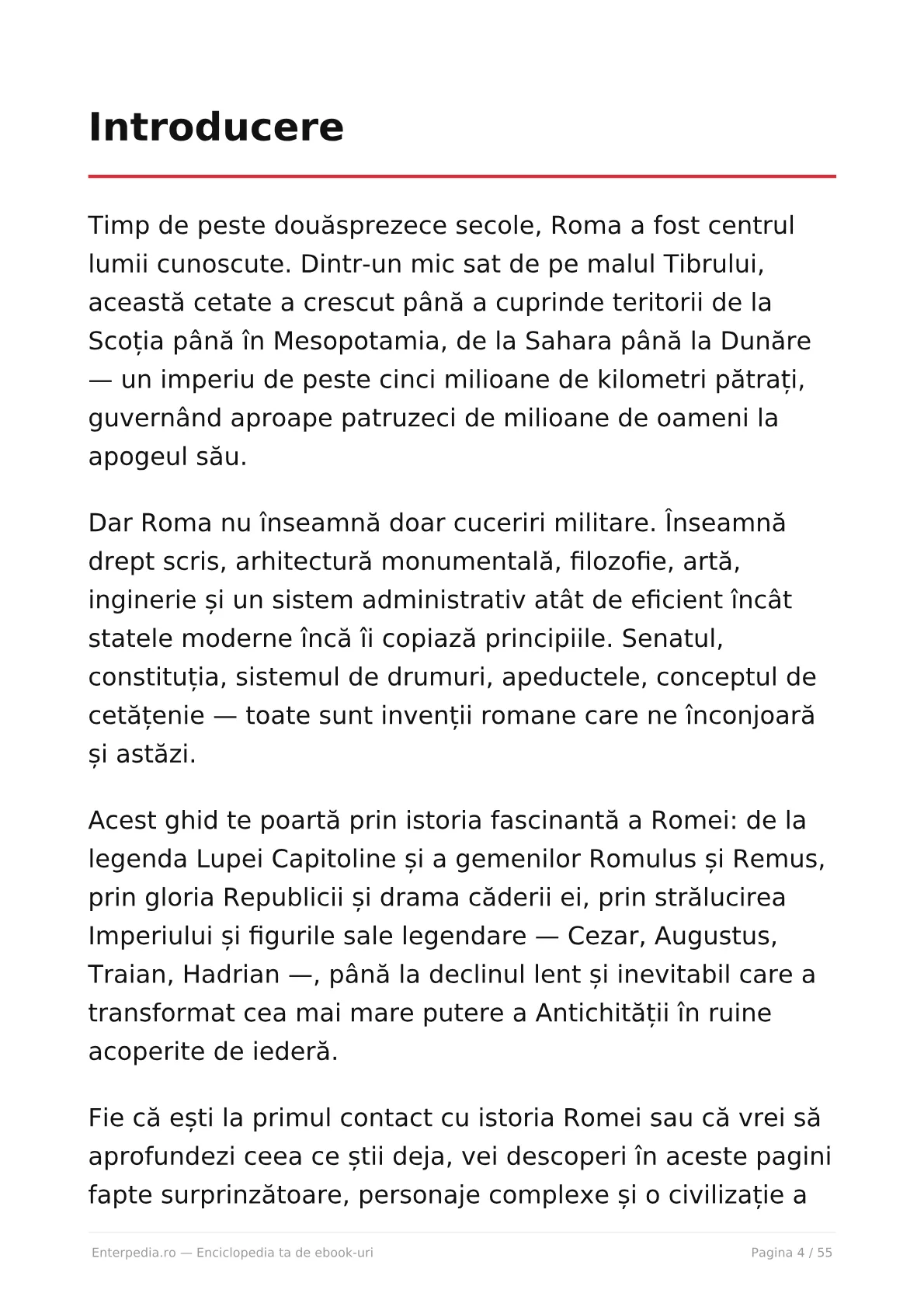 Previzualizare 3