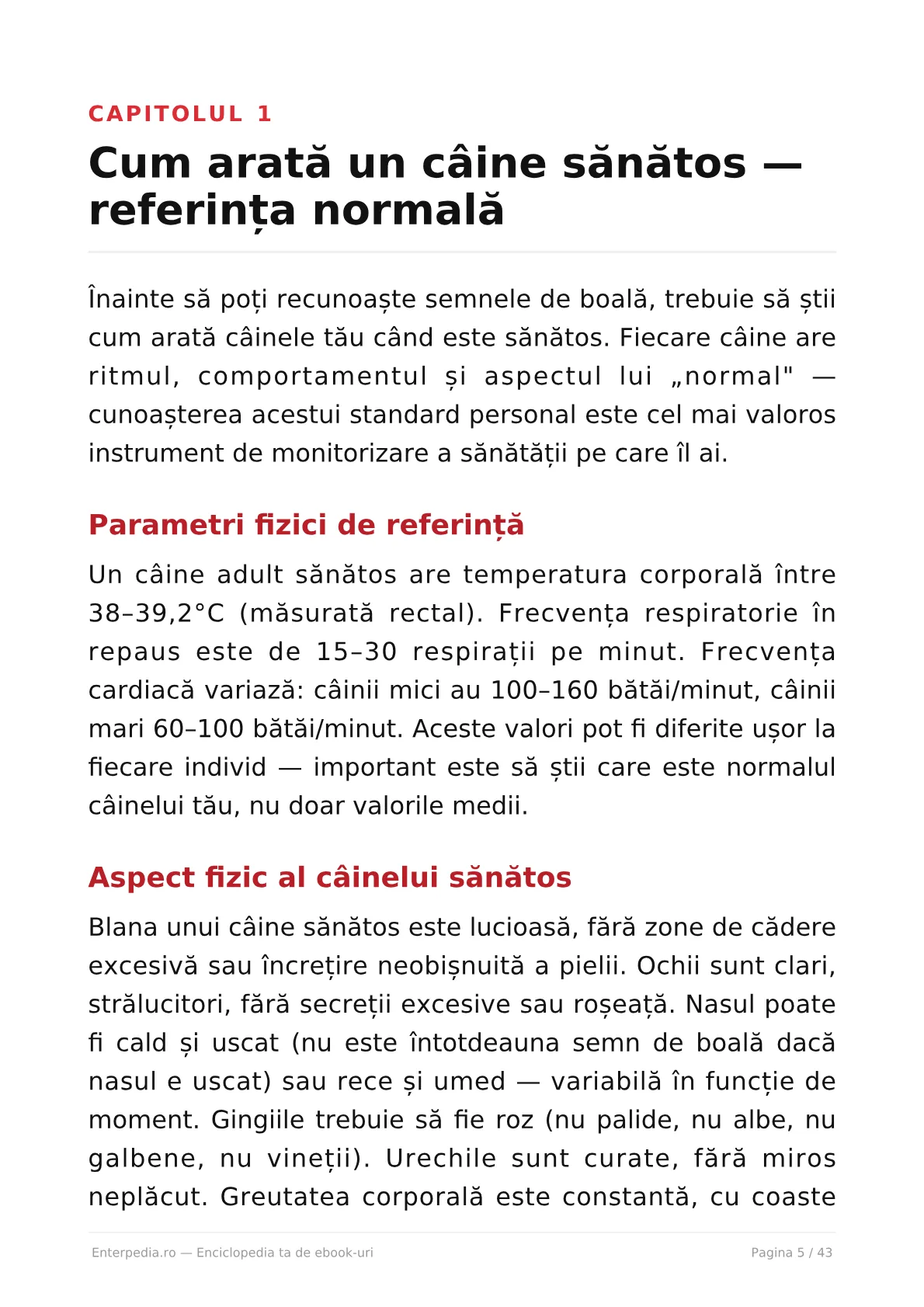 Previzualizare 4