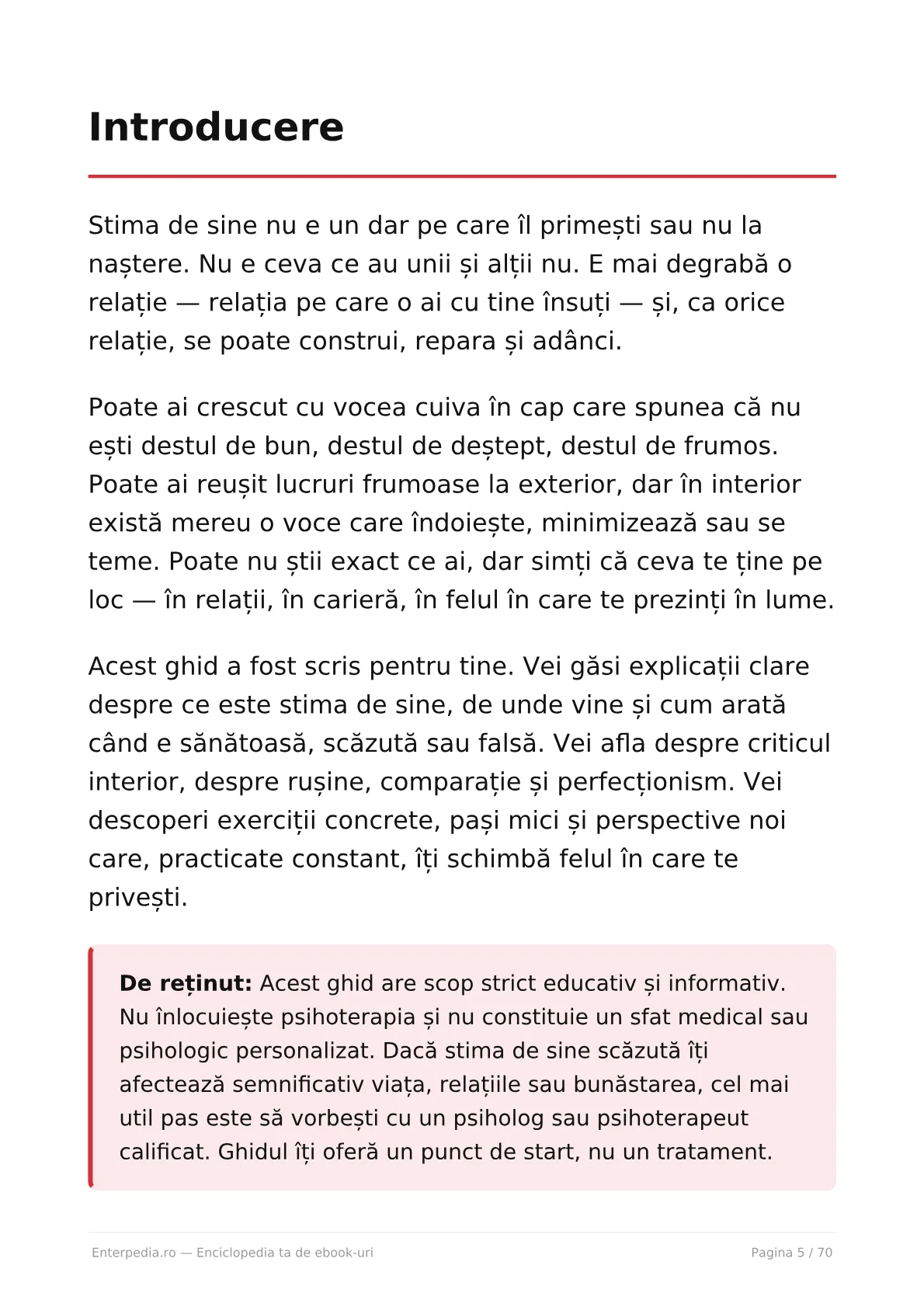 Previzualizare 4