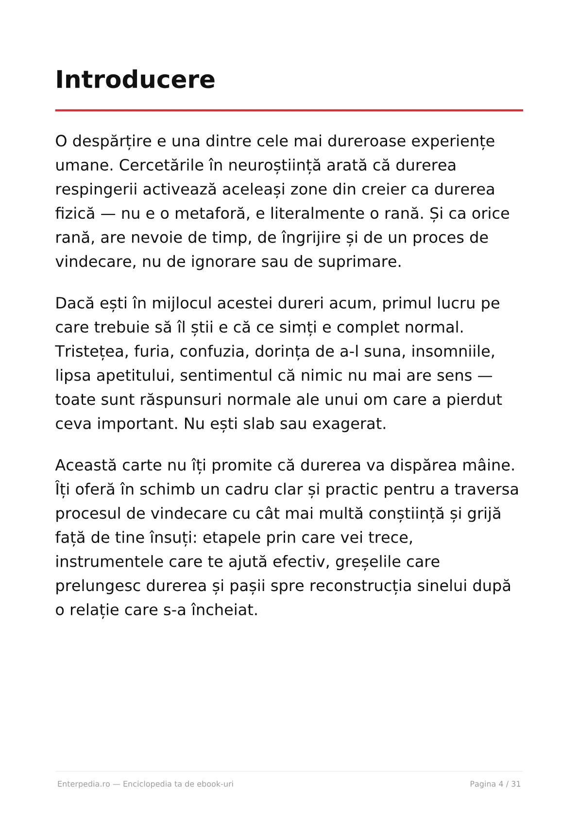 Previzualizare 3